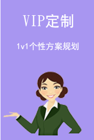 VIP定制服务